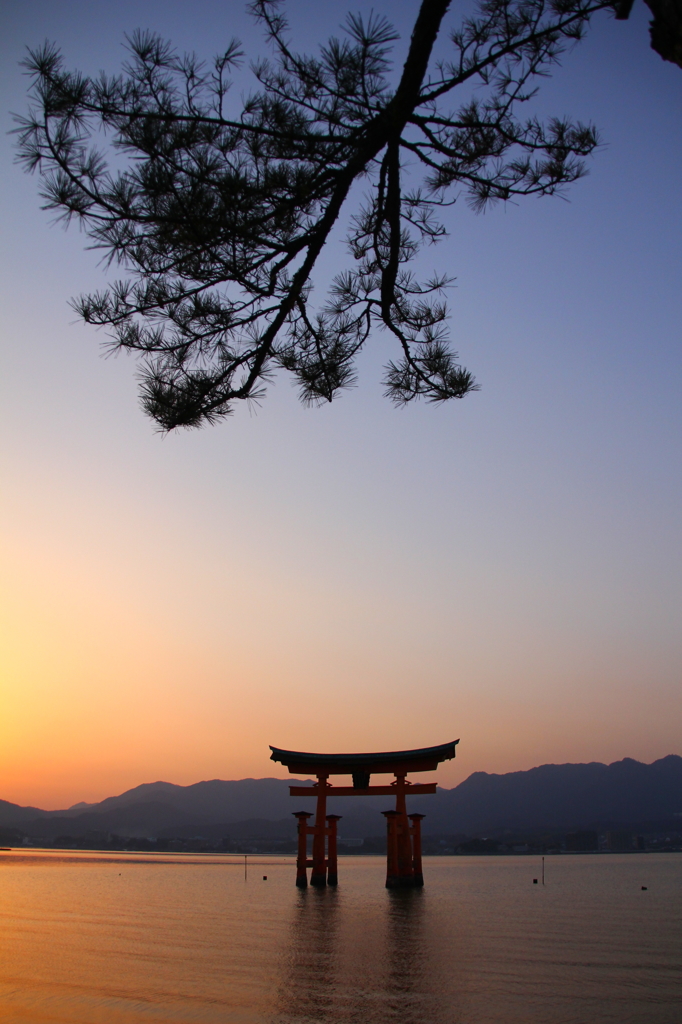 夕暮れの厳島神社