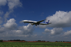 青空と飛行機