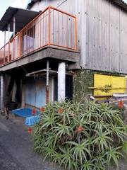 橙
