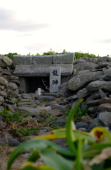 龍神