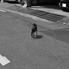 一人でいきていきます