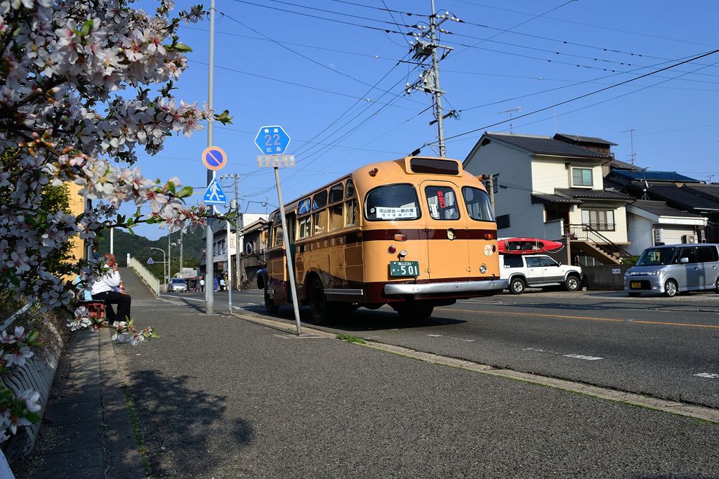 桜とレトロバス