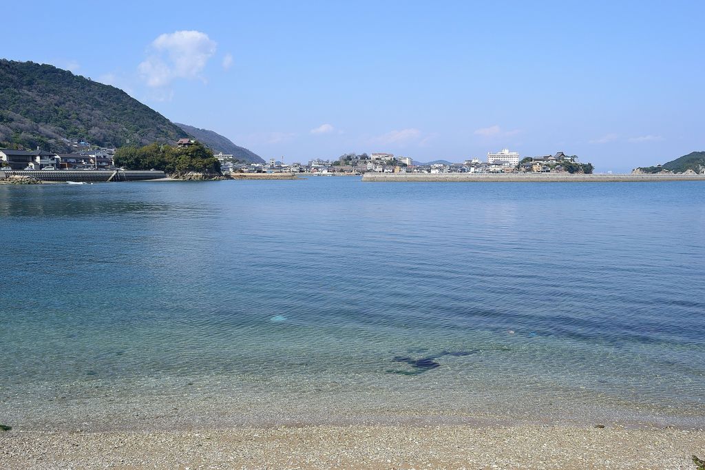 遠くより湾内を眺める