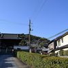 尾道　桜通信　続報