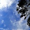 青空