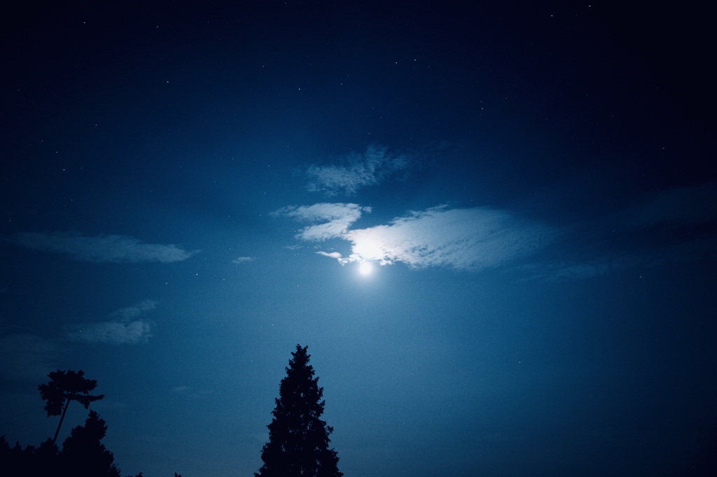 月夜
