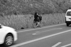 なんか食べてる