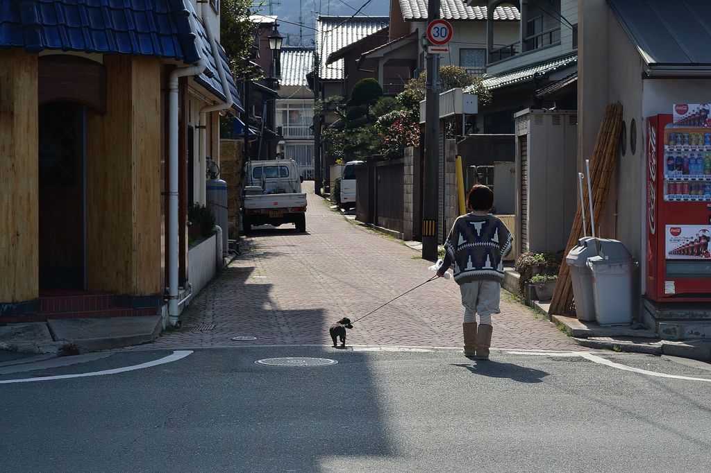 犬の散歩