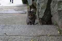 疑いのまなざし