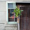 窓
