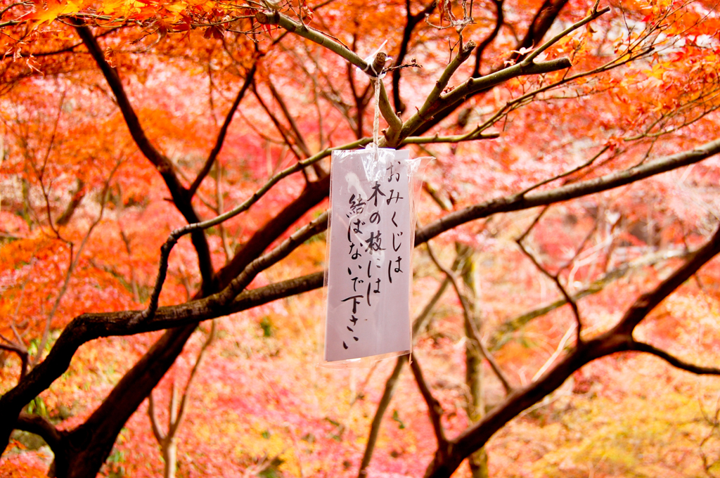 清水寺の紅葉