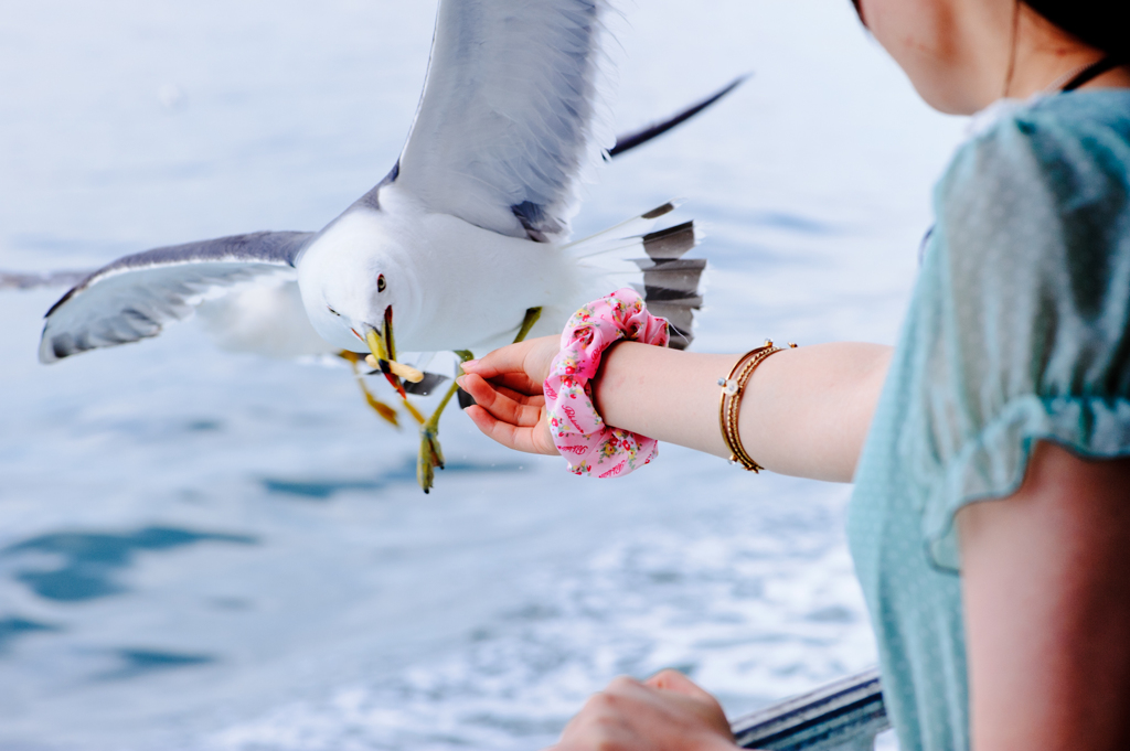 Feeding Time