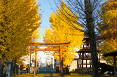 加茂神社