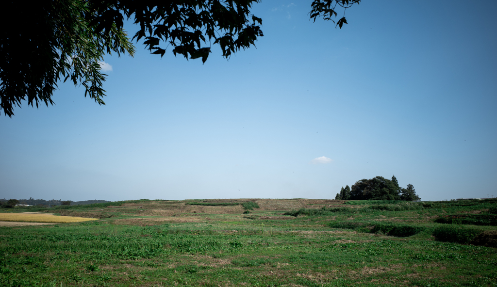 広野