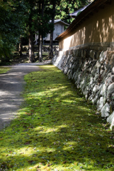 土壁と苔と