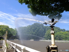 DSCF0037
