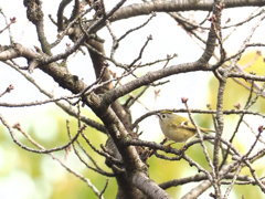 平成の先には