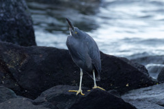 警戒してます！