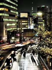 夜桜とスカイツリー