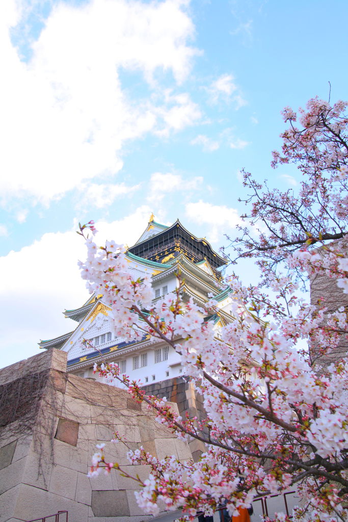桜の城