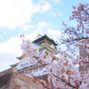 桜の城