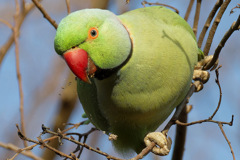 呼ばれて飛び出てジャジャジャジャーン！