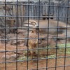 なんだ？