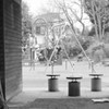 あの時の公園