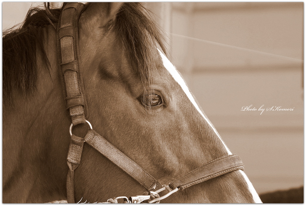 ～ Quiet eyes ～