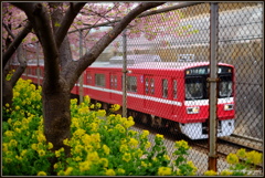 ~ 春の京急① ~