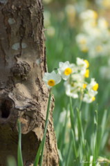 Spring respect....