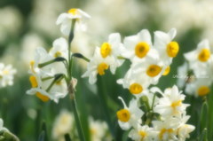 Spring talk....