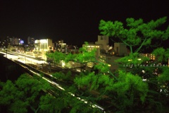 夜に光る木