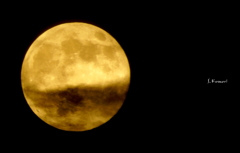 Gold moon♪