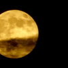 Gold moon♪
