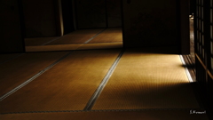 Tatami