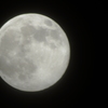 Moon～♪