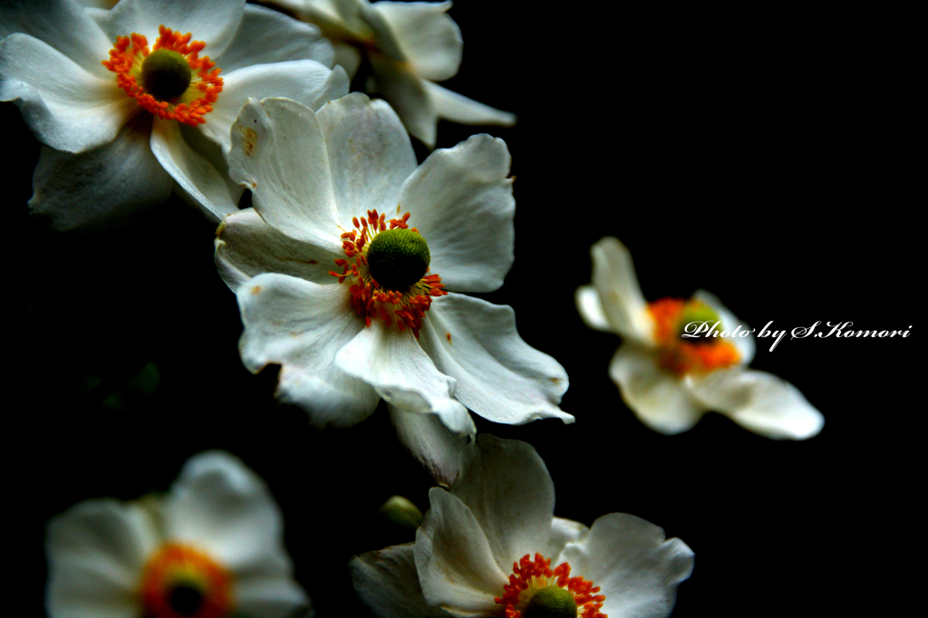 ～Waning love～