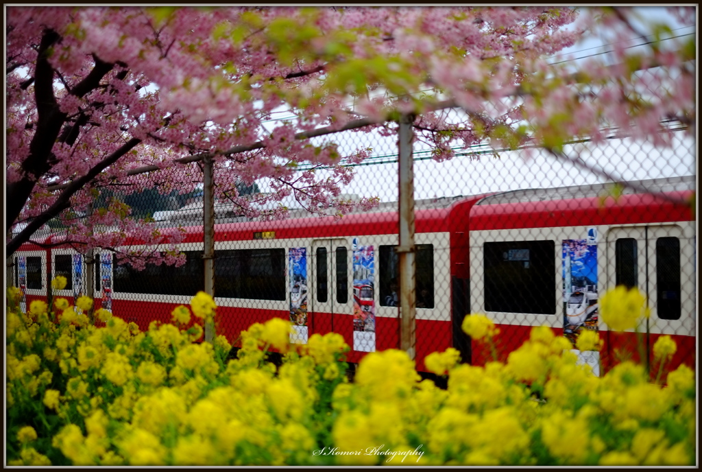 ~ 春の京急② ~