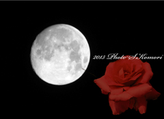 Moon rose