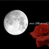 Moon rose