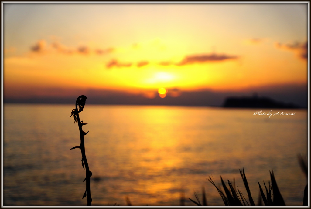 ～ Look lonely ～