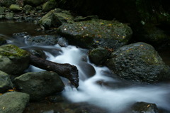 酒水の川にて....