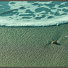 ～  冷たい海January 3, 2015 ～
