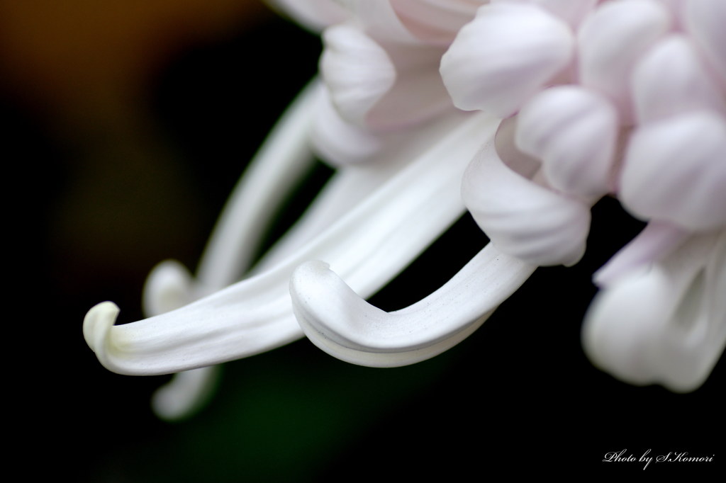 White temptation...