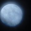 Bull　moon♪