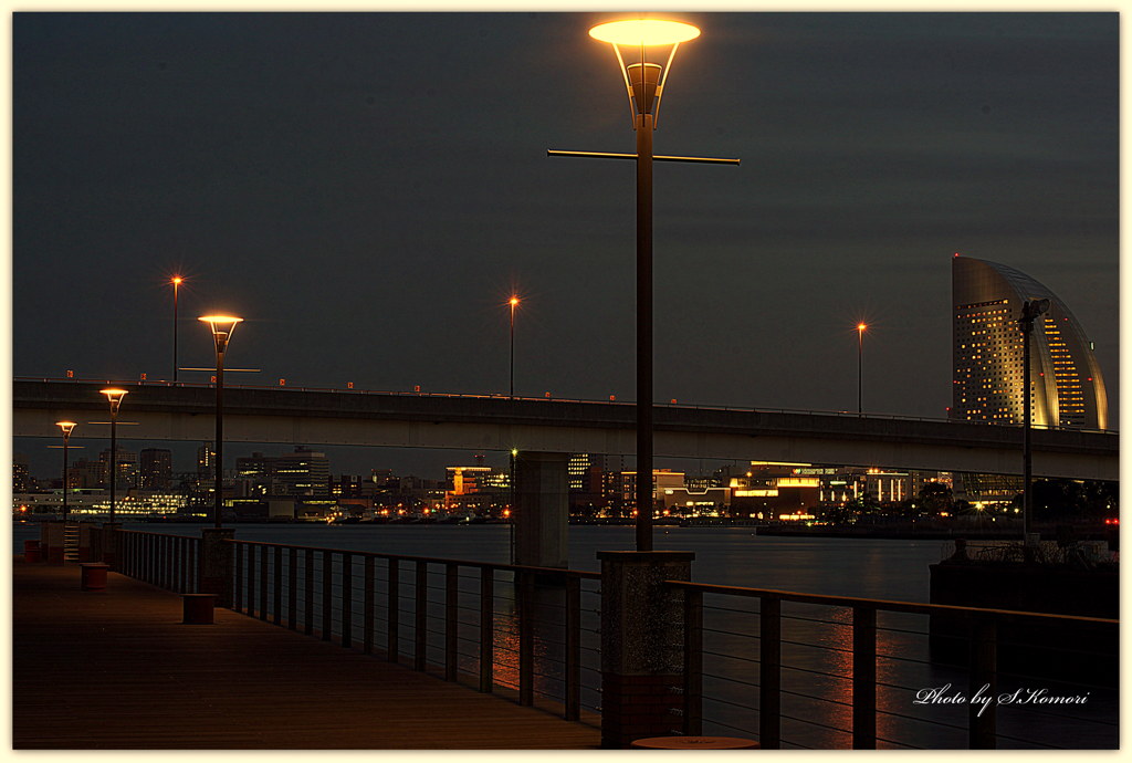 ～ Cotton harbor light  ～