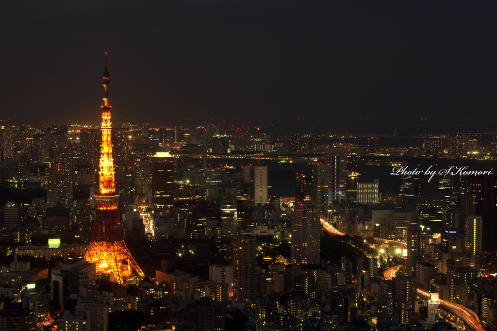 東京Night