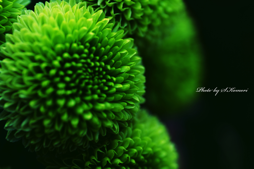 Green person