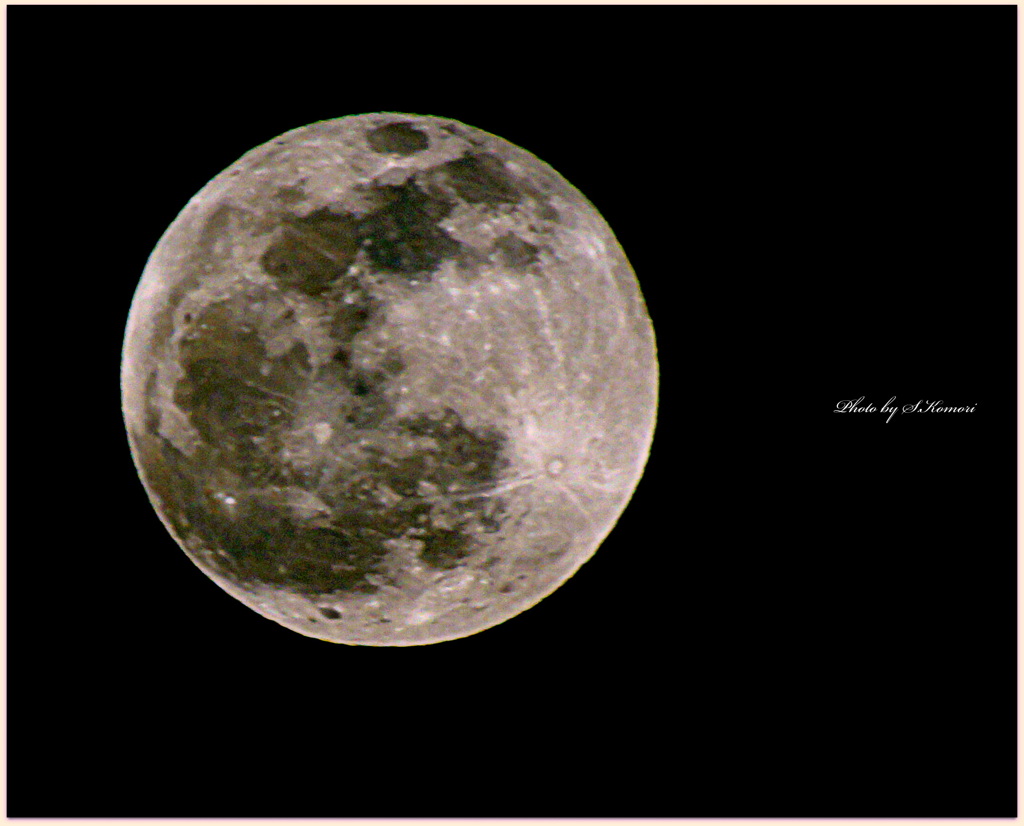 ～ Moon Light Party ～